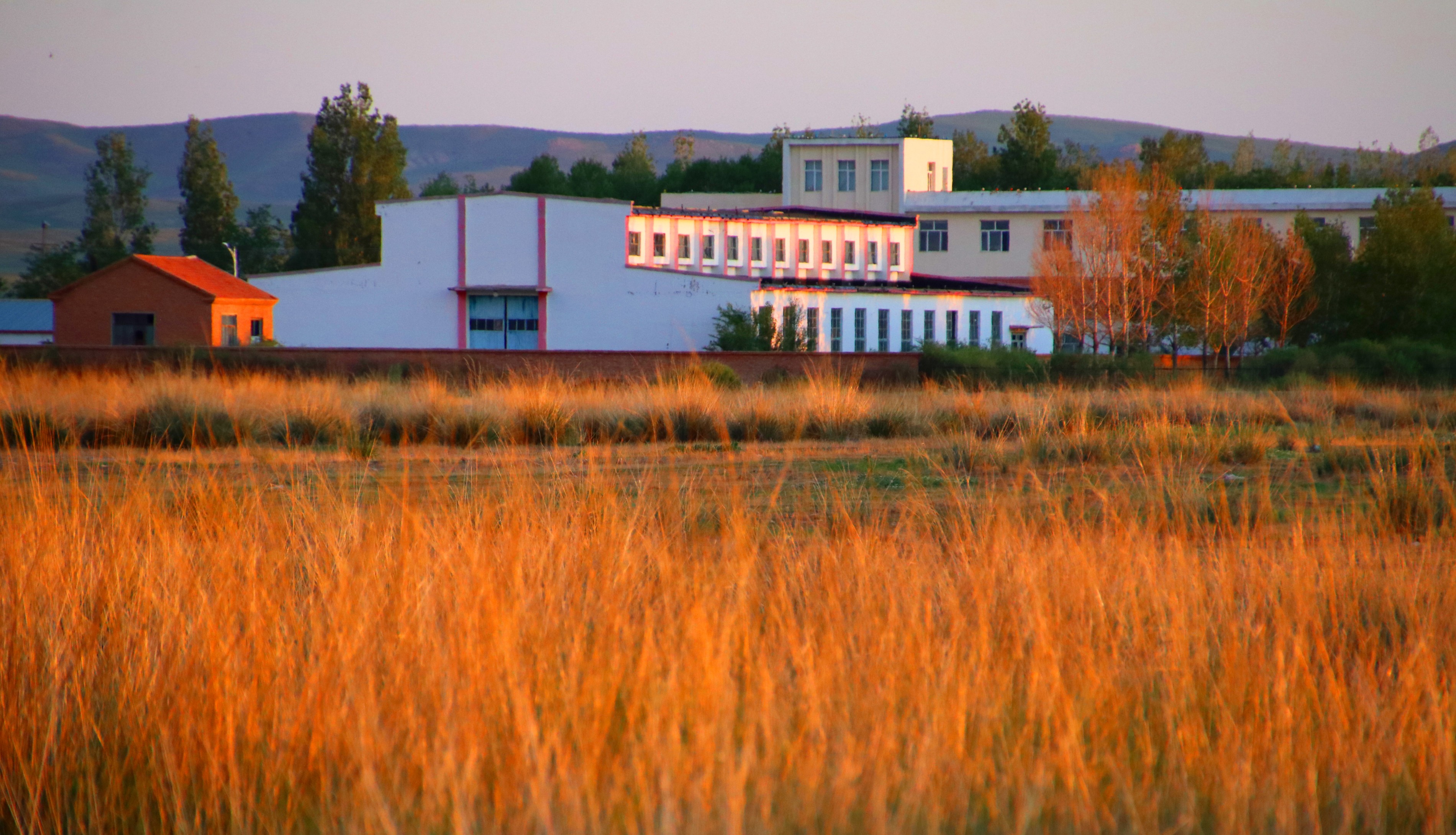 內(nèi)蒙古額吉淖爾制鹽有限公司45t/h鍋爐噴鈣脫硫設(shè)備及配套服務(wù)項目【網(wǎng)上競價】中標(biāo)公示