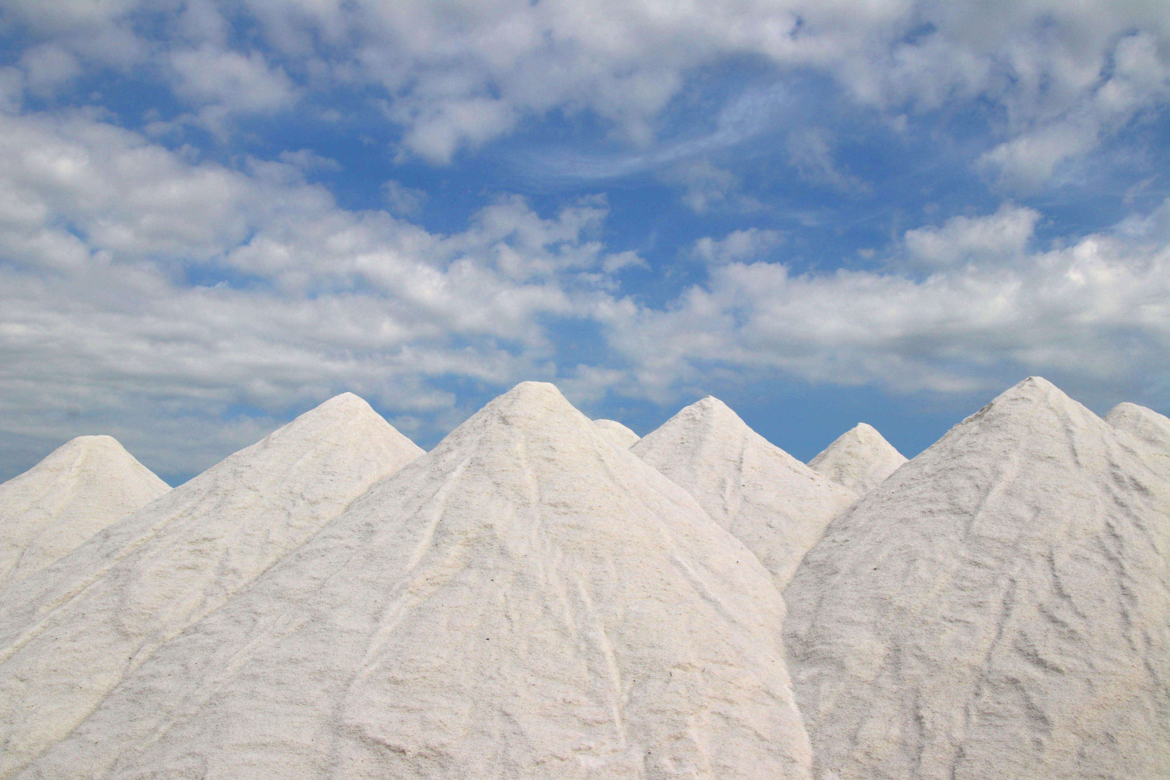 內蒙古額吉淖爾制鹽有限公司2020年動力燃煤采購項目中標公示