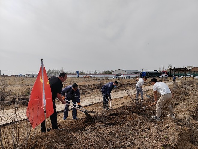 額鹽公司組織開展“凝心聚力促發(fā)展，實(shí)干擔(dān)當(dāng)建新功”植樹活動(dòng)