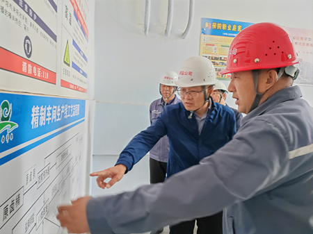 王臣到額吉淖爾制鹽有限公司調研指導工作