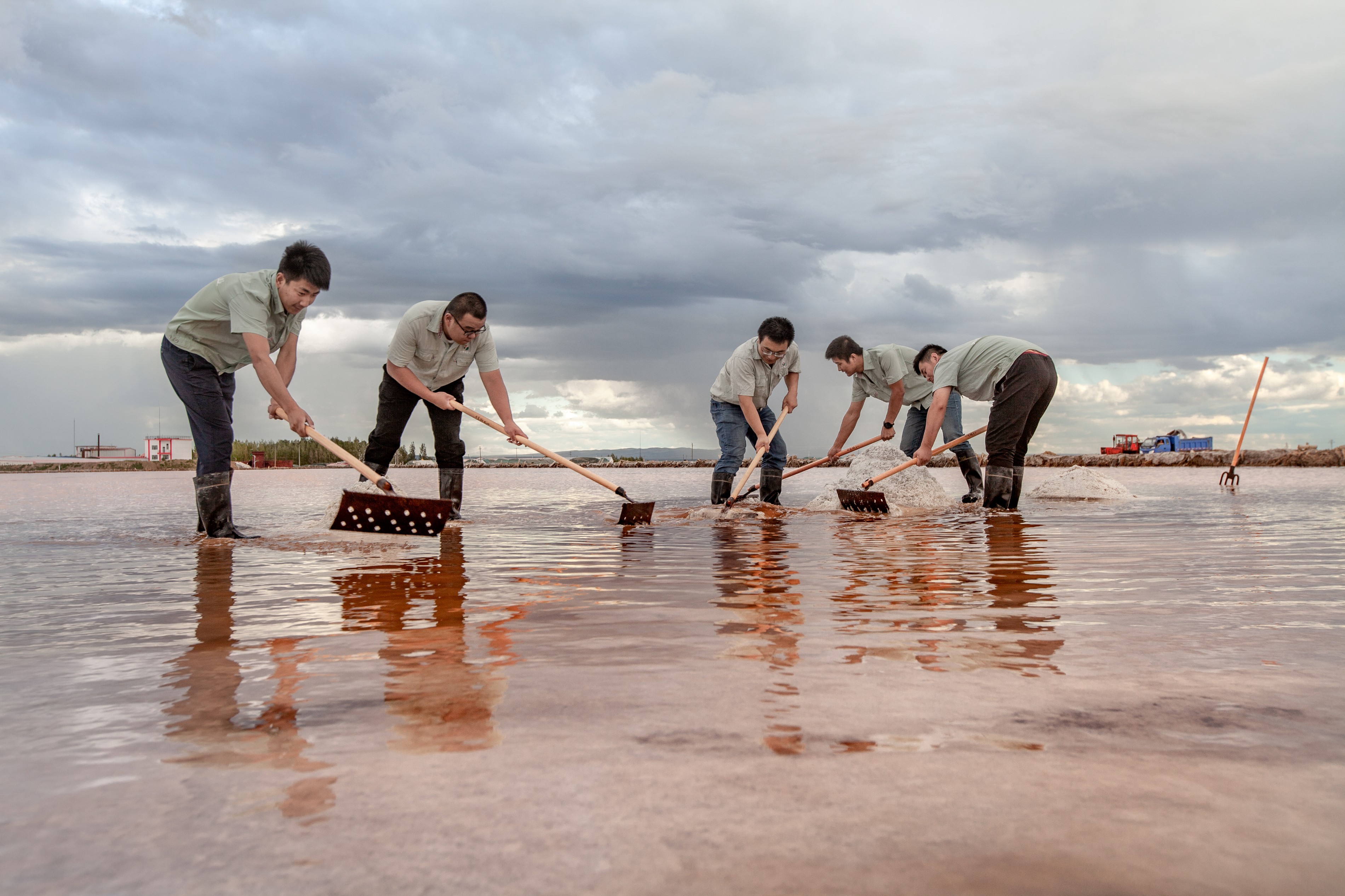內(nèi)蒙古額吉淖爾制鹽有限公司 職業(yè)病危害因素檢測(cè)、評(píng)價(jià)檢測(cè)、評(píng)價(jià)，編制評(píng)價(jià)報(bào)告服務(wù)采購(gòu)公告