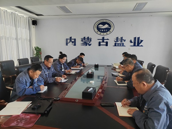 額吉淖爾制鹽有限公司各黨支部分別召開2024年度組織生活會
