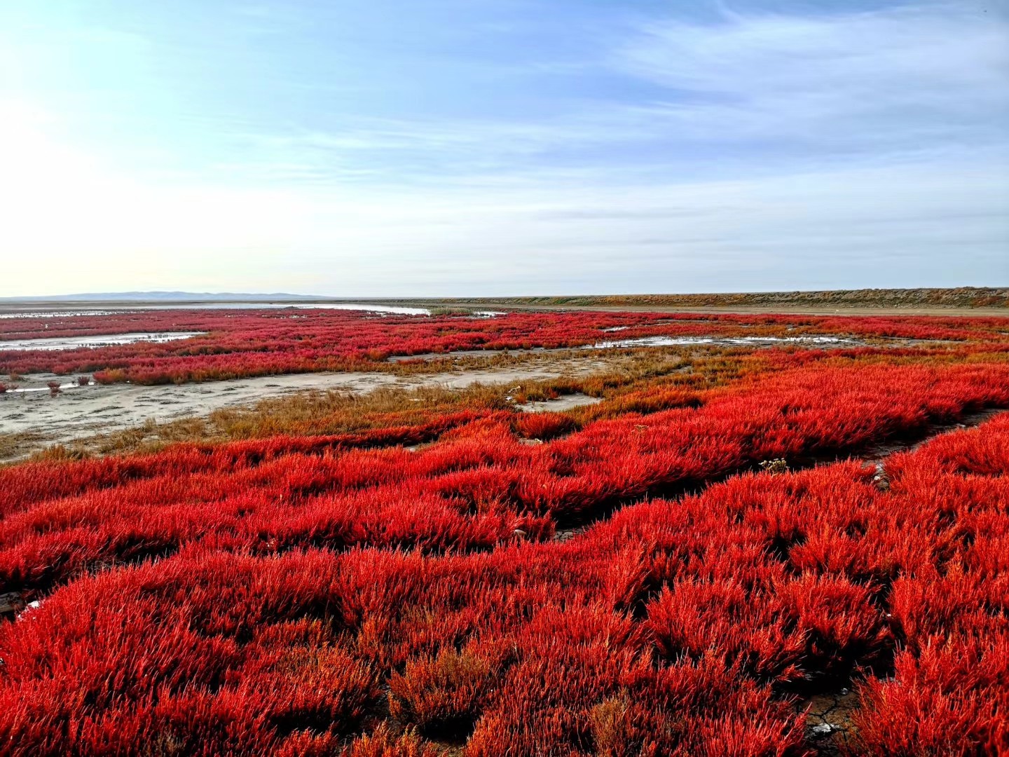 額吉淖爾制鹽有限公司2025年招聘進(jìn)入筆試人員名單公告