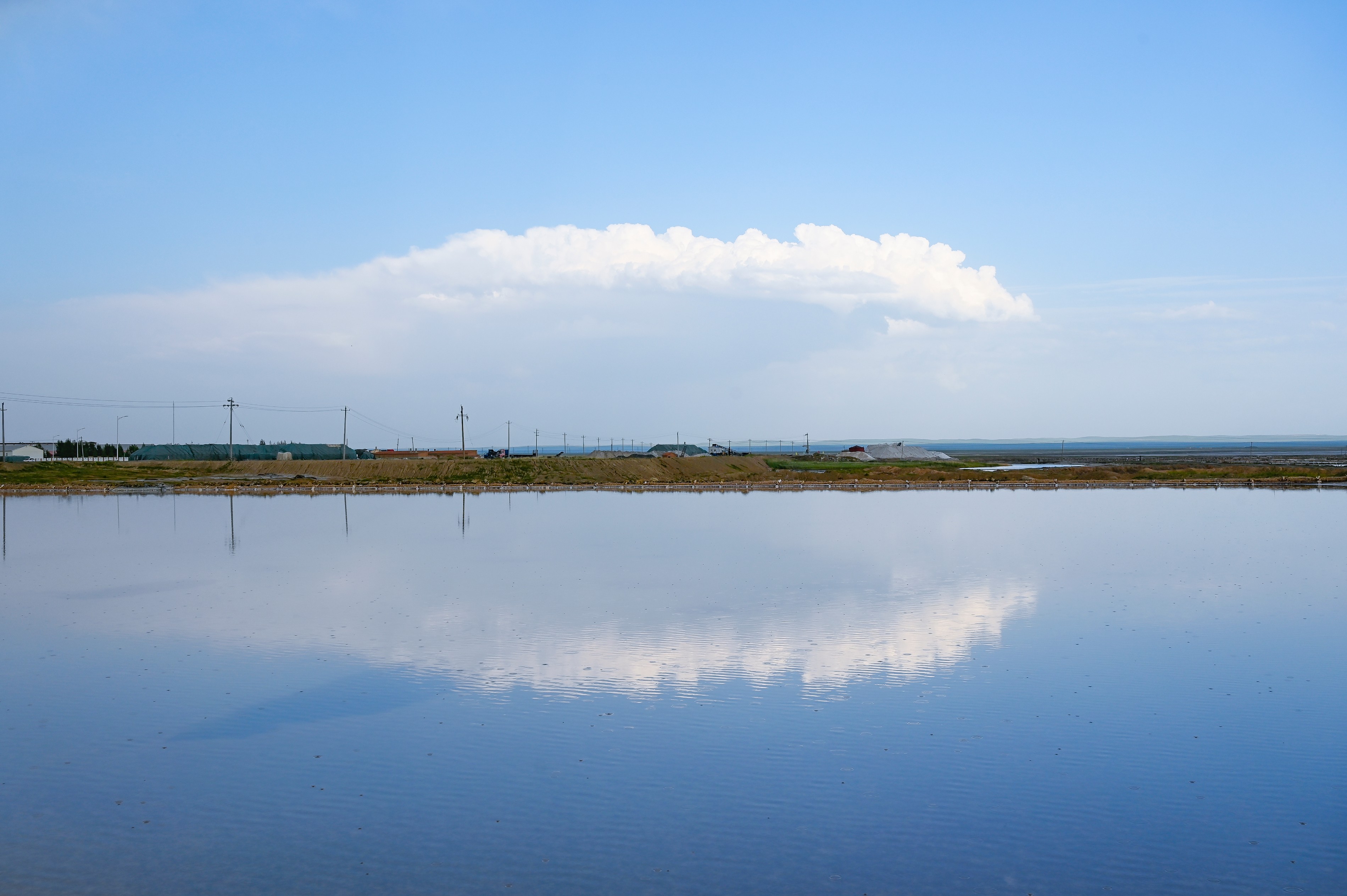 成交結(jié)果確認(rèn)公告